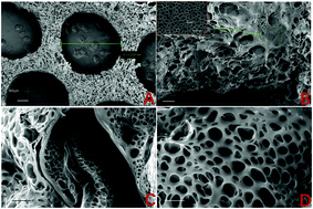 Graphical abstract: A novel biomimetic scaffold with hUCMSCs for lumbar fusion