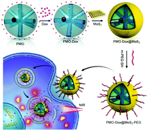 Graphical abstract: NIR photoresponsive drug delivery and synergistic chemo-photothermal therapy by monodispersed-MoS2-nanosheets wrapped periodic mesoporous organosilicas