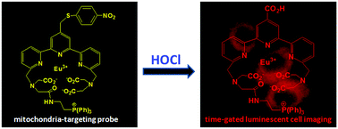 Graphical abstract: A mitochondria-targeting time-gated luminescence probe for hypochlorous acid based on a europium complex