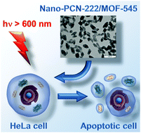Graphical abstract: Nanoscaled porphyrinic metal–organic frameworks: photosensitizer delivery systems for photodynamic therapy