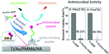 Graphical abstract: Preparation of an antimicrobial surface by direct assembly of antimicrobial peptide with its surface binding activity