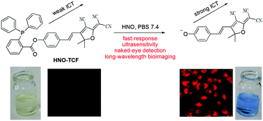 Graphical abstract: A reductant-resistant ratiometric, colorimetric and far-red fluorescent probe for rapid and ultrasensitive detection of nitroxyl