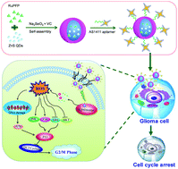 Graphical abstract: Nucleolin-targeted selenium nanocomposites with enhanced theranostic efficacy to antagonize glioblastoma