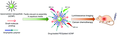 Graphical abstract: A facile supramolecular approach to fabricate multifunctional upconversion nanoparticles as a versatile platform for drug loading, in vivo delivery and tumor imaging