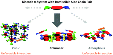 Graphical abstract: Preferential formation of columnar mesophases via peripheral modification of discotic π-systems with immiscible side chain pairs
