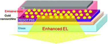 Graphical abstract: Plasmonic enhancement in electroluminescence from light-emitting electrochemical cells incorporating gold nanourchins