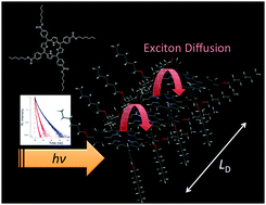 Graphical abstract: Enhancing exciton diffusion in porphyrin thin films using peripheral carboalkoxy groups to influence molecular assembly