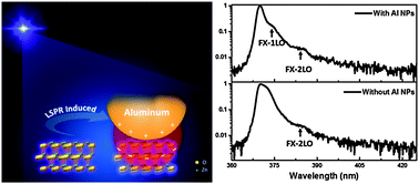 Graphical abstract: Plasmon-mediated exciton–phonon coupling in a ZnO microtower cavity