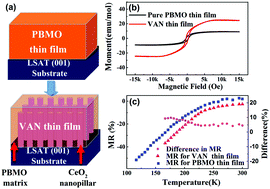 Graphical abstract: Enhanced magnetic properties in epitaxial self-assembled vertically aligned nanocomposite (Pr0.5Ba0.5MnO3)0.5:(CeO2)0.5 thin films
