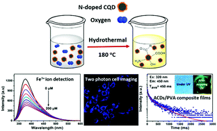 Graphical abstract: Synthesis of amphiphilic carbon quantum dots with phosphorescence properties and their multifunctional applications