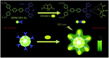 Graphical abstract: Dimethoxy triarylamine-derived terpyridine–zinc complex: a fluorescence light-up sensor for citrate detection based on aggregation-induced emission