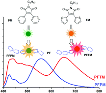 Graphical abstract: Diarylmaleimide fluorophores: intensely emissive low-band-gap guest for single white polymers with highly efficient electroluminescence