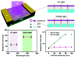 Graphical abstract: Design of photoactive hybrid based intelligent photodetectors for identifying the detected wavelength