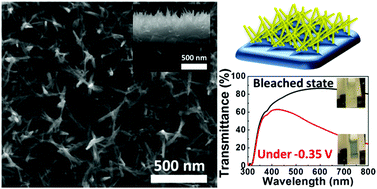Graphical abstract: Enhanced electrochromic performance of WO3 nanowire networks grown directly on fluorine-doped tin oxide substrates