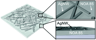 Graphical abstract: Silver nanowire networks embedded in a cure-controlled optical adhesive film for a transparent and highly conductive electrode