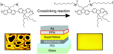 Graphical abstract: One-step additive crosslinking of conjugated polyelectrolyte interlayers: improved lifetime and performance of solution-processed OLEDs