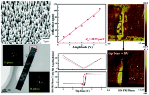 Graphical abstract: Synthesis, piezoelectric property and domain behaviour of the vertically aligned K1−xNaxNbO3 nanowire with a morphotropic phase boundary