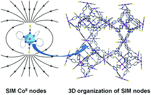Graphical abstract: Single-molecule magnetism arising from cobalt(ii) nodes of a crystalline sponge