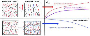 Graphical abstract: Poling engineering of (K,Na)NbO3-based lead-free piezoceramics with orthorhombic–tetragonal coexisting phases