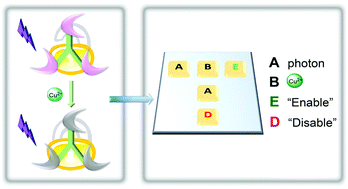 Graphical abstract: Cu2+-Selectivity gated photochromism in Schiff-modified diarylethenes with a star-shaped structure