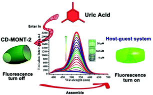 Graphical abstract: Fluorescence turn-on detection of uric acid by a water-stable metal–organic nanotube with high selectivity and sensitivity