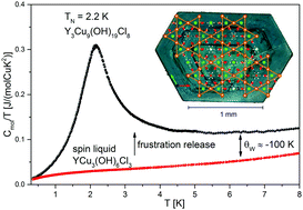 Graphical abstract: Strong magnetic frustration in Y3Cu9(OH)19Cl8: a distorted kagome antiferromagnet