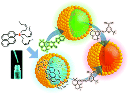 Graphical abstract: Color-tunable fluorescent nanoparticles encapsulating trialkylsilyl-substituted pyrene liquids