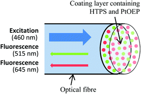 Graphical abstract: Dual pO2/pCO2 fibre optic sensing film