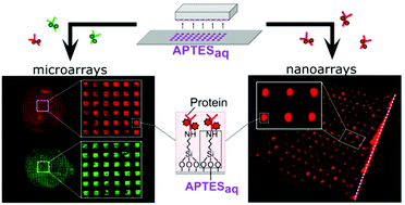 Graphical abstract: Microcontact printing with aminosilanes: creating biomolecule micro- and nanoarrays for multiplexed microfluidic bioassays
