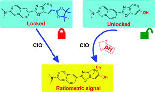 Graphical abstract: An arylboronate locked fluorescent probe for hypochlorite