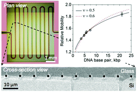 Graphical abstract: On-chip hydrodynamic chromatography of DNA through centimeters-long glass nanocapillaries