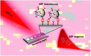 Graphical abstract: Immunoassay quantification using surface-enhanced fluorescence (SEF) tags
