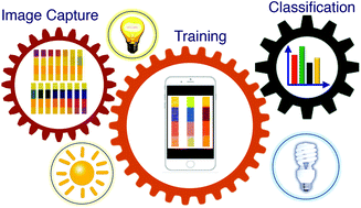 Graphical abstract: Smartphone-based colorimetric detection via machine learning