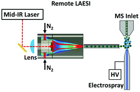 Graphical abstract: Enhanced sensitivity and metabolite coverage with remote laser ablation electrospray ionization-mass spectrometry aided by coaxial plume and gas dynamics