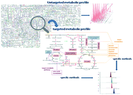 Graphical abstract: Hyphenated MS-based targeted approaches in metabolomics