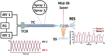 Graphical abstract: Solvent gradient electrospray for laser ablation electrospray ionization mass spectrometry