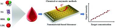 Graphical abstract: Nanomaterial-based biosensors for measurement of lipids and lipoproteins towards point-of-care of cardiovascular disease