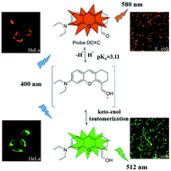Graphical abstract: A ratiometric fluorescent pH probe based on keto–enol tautomerization for imaging of living cells in extreme acidity