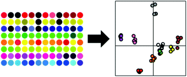Graphical abstract: Fluorescent sensing arrays for cations and anions
