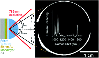 Graphical abstract: Combined measurement of directional Raman scattering and surface-plasmon-polariton cone from adsorbates on smooth planar gold surfaces