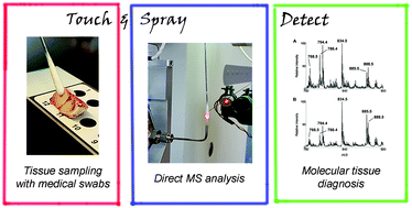 Graphical abstract: Analysis of human gliomas by swab touch spray-mass spectrometry: applications to intraoperative assessment of surgical margins and presence of oncometabolites