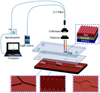 Graphical abstract: Real-time CRP detection from whole blood using micropost-embedded microfluidic chip incorporated with label-free biosensor