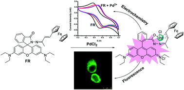 Graphical abstract: Highly sensitive and selective detection of Pd2+ ions using a ferrocene–rhodamine conjugate triple channel receptor in aqueous medium and living cells