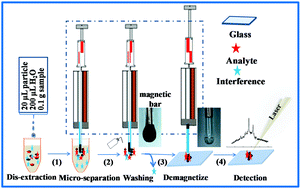 Graphical abstract: Combination of a graphene SERS substrate and magnetic solid phase micro-extraction used for the rapid detection of trace illegal additives