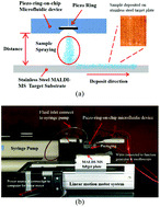 Graphical abstract: A piezo-ring-on-chip microfluidic device for simple and low-cost mass spectrometry interfacing