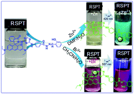 Graphical abstract: A novel turn-on fluorescent probe for the multi-channel detection of Zn2+ and Bi3+ with different action mechanisms
