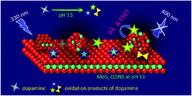 Graphical abstract: MoS2 nanohybrid as a fluorescence sensor for highly selective detection of dopamine