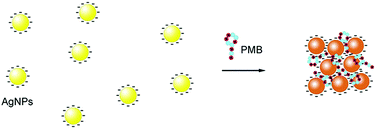Graphical abstract: A polymyxin B–silver nanoparticle colloidal system and the application of lipopolysaccharide analysis