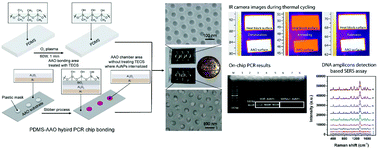 Graphical abstract: Nanoporous anodic aluminum oxide internalized with gold nanoparticles for on-chip PCR and direct detection by surface-enhanced Raman scattering