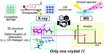 Graphical abstract: Combined analysis of 1,3-benzodioxoles by crystalline sponge X-ray crystallography and laser desorption ionization mass spectrometry
